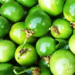 بذر پشن فروت سبز 0