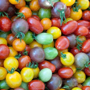 بذر گوجه چری گلابی