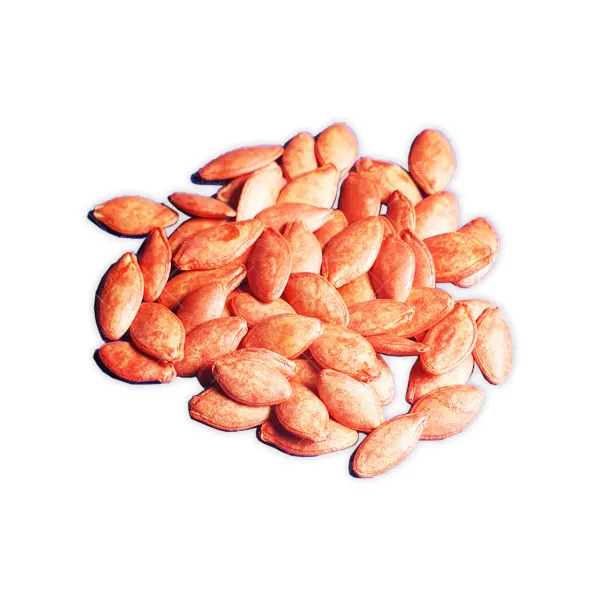 بذر کدو خورشتی هیبرید خانگی