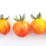 بذر گوجه چری زنبور عسل مسترسید 0