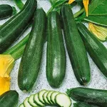 بذر کدو سبز تیره خانگی 0