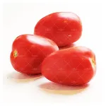 بذر گوجه فرنگی تخم مرغی خارجی خانگی 0