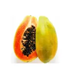 بذر پاپایا خانگی 0