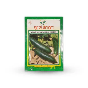 بذر خیار رسمی سیلین ترک