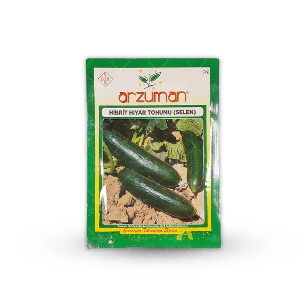 بذر خیار رسمی سیلین ترک