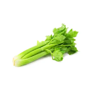 بذر کرفس خانگی