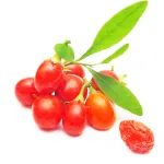 بذر گوجی بری وانیاسید 0