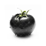 بذر گوجی بری سیاه وانیاسید 0