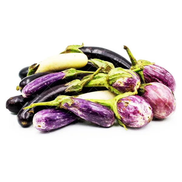 بذر بادمجان میکس خانگی وانیاسید