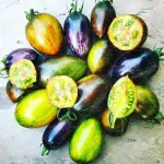 بذر گوجه فرنگی رنگین کمان اتمیک آمریکایی 0
