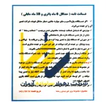 پکیج و پنل برق خورشیدی سیار 30 وات رساما 2