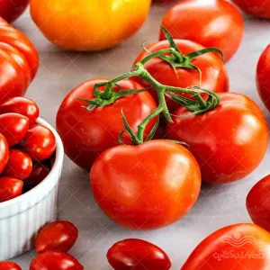 بذر گوجه فرنگی میکس استاندارد خارجی خانگی
