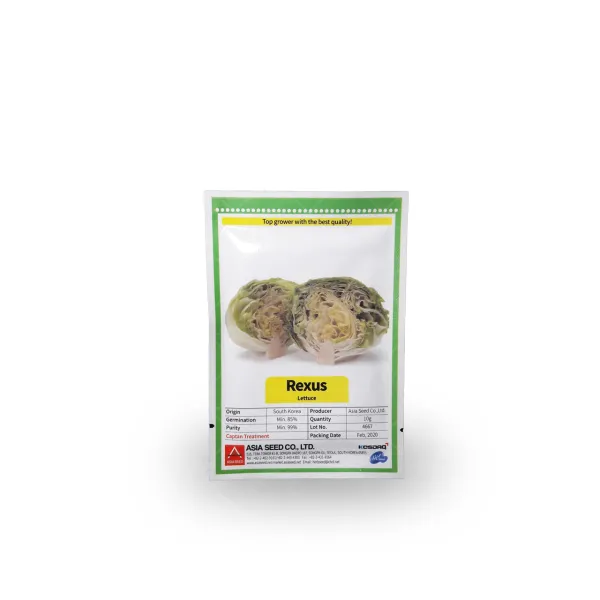 بذر کاهو پیچ آیسبرگ رکسوس 2500 عددی کره ای