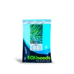 بذر خیار زمینی هامین 1000 عددی پربارترین و زودرس ترین خیار 0