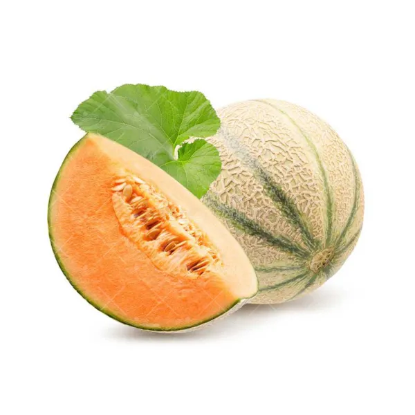 بذر طالبی سمسوری ایران بذر 100 گرمی