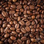 بذر قهوه عربی وانیاسید 0