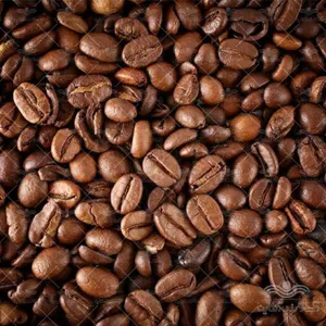 بذر قهوه عربی وانیاسید