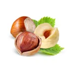 بذر فندق وانیاسید 0