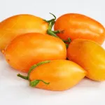 بذر گوجه قندیل یخ 0