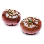 بذر گوجه فرنگی ارغوانی 0