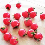بذر گوجه فرنگی چری صورتی تیره خوشه ای 0