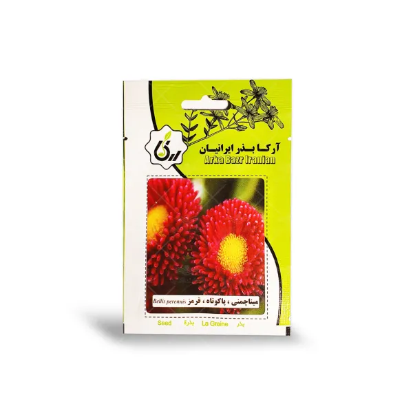 بذر گل مینا چمنی پاکوتاه قرمز آرکا بذر ایرانیان