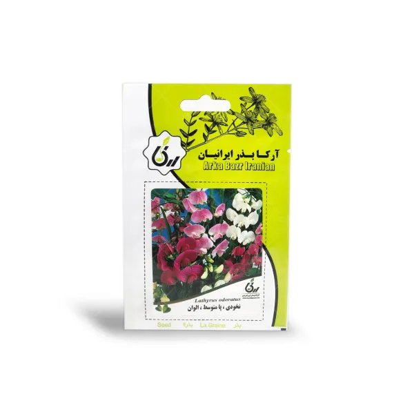 بذر گل نخودی پا متوسط الوان آرکا بذر ایرانیان