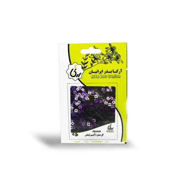 بذر گل عسل بنفش آرکا بذر ایرانیان
