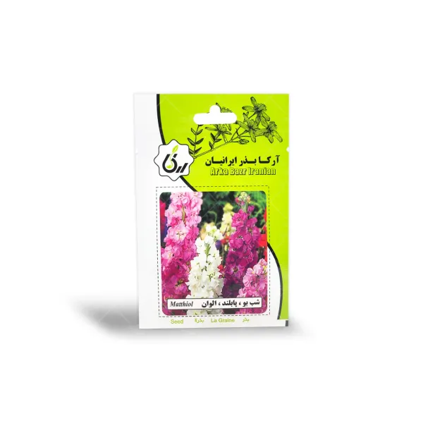 بذر گل شب بو پا بلند الوان آرکا بذر ایرانیان