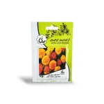 بذر گل همیشه بهار پا کوتاه الوان آرکا بذر ایرانیان 0