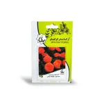 بذر گل همیشه بهار پاکوتاه نارنجی آرکا بذر ایرانیان 0