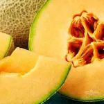 بذر خربزه آناناسی آرکا بذر ایرانیان 0