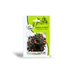بذر فلفل گیلاسی تند آرکا بذر ایرانیان 0