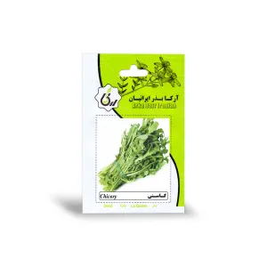 بذر کاسنی آرکا بذر ایرانیان