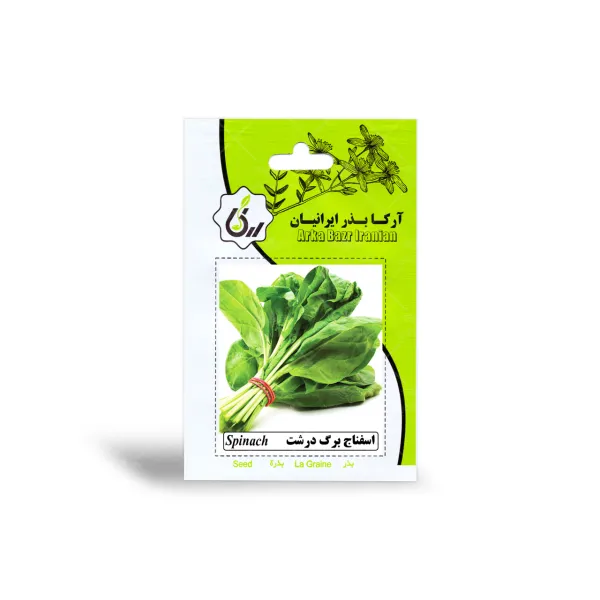 بذر اسفناج برگ درشت آرکا بذر ایرانیان
