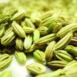 بذر خانگی زیره سبز آرکا بذر ایرانیان