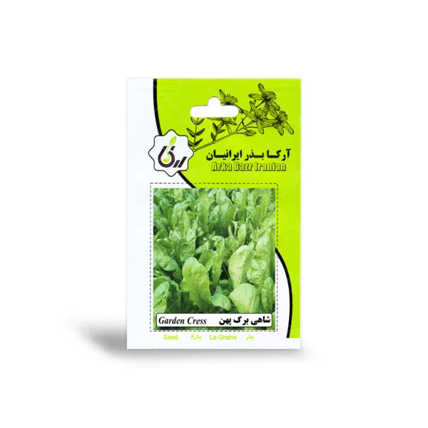 بذر شاهی پهن برگ آرکا بذر ایرانیان