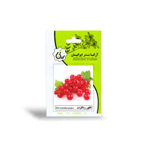 بذر انگور رد کارنت آرکا بذر ایرانیان