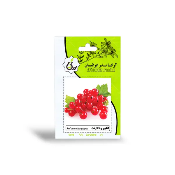 بذر انگور رد کارنت آرکا بذر ایرانیان