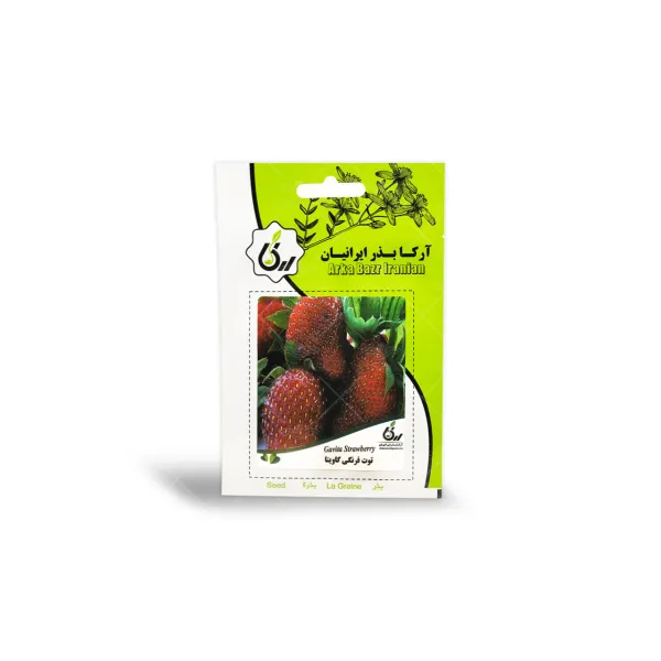 بذر توت فرنگی گاویتا آرکا بذر ایرانیان