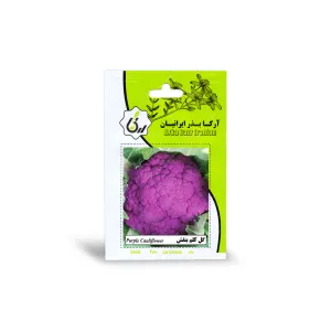 بذر گل کلم بنفش آرکا بذر ایرانیان