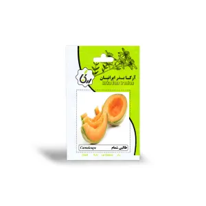 بذر طالبی شمام آرکا بذر ایرانیان