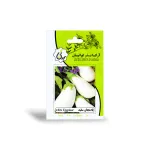 بذر بادمجان سفید آرکا بذر ایرانیان 0